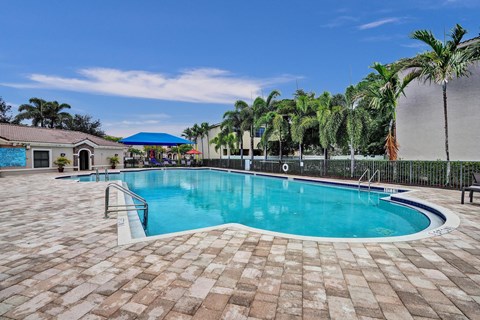 Community pool surrounded by palm trees and a clear blue sky.