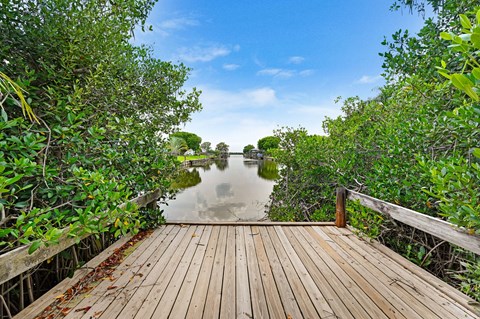 A wooden walkway leads through a mangrove forest to a body of water.