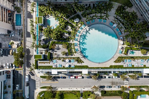 An aerial view of a pool surrounded by palm trees and lounge chairs.