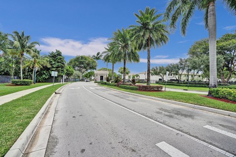 A street with palm trees on the side.
