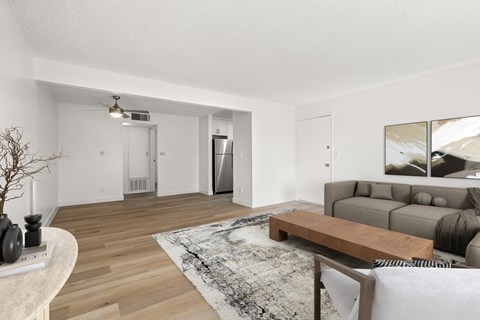 A living room with a couch, a coffee table, and a rug.