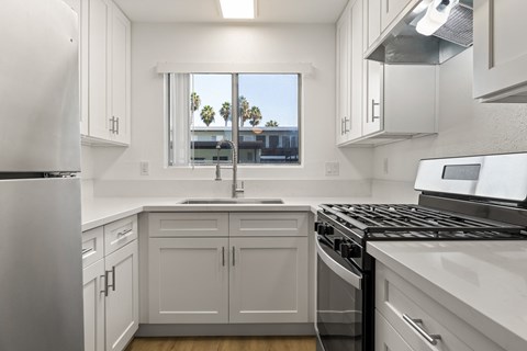 437 E Park 2 Beds Apartment for Rent