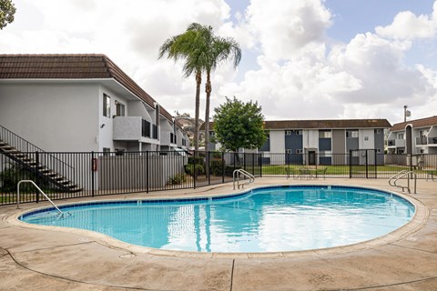 A swimming pool in a residential area with houses and palm trees.