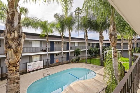 A pool surrounded by palm trees and apartment buildings.