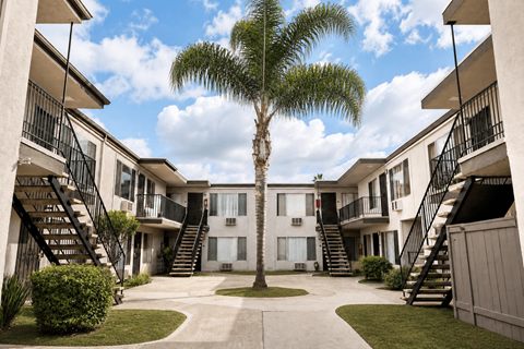 A palm tree stands in the middle of a courtyard surrounded by apartment buildings.
