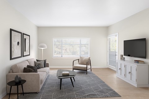 A living room with a grey sofa, a black coffee table, a grey rug, a white cabinet, a black television, a white floor lamp, and a window with blinds.