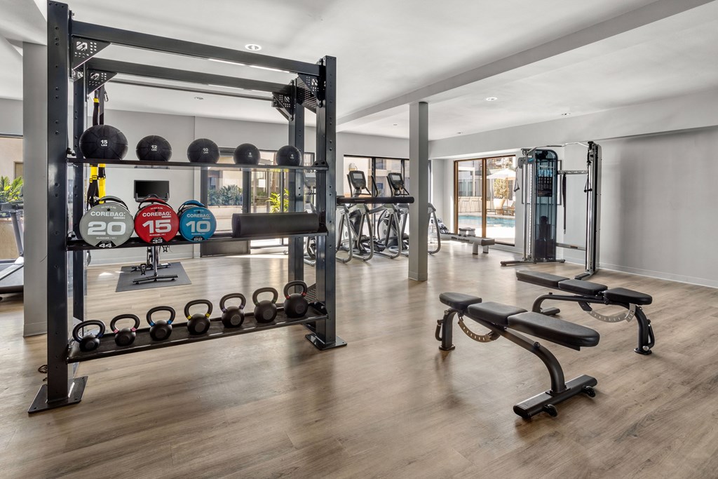 A gym with a squat rack, bench, and weights.