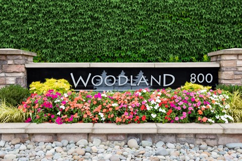 A sign that says Woodland 800 in front of a green hedge.