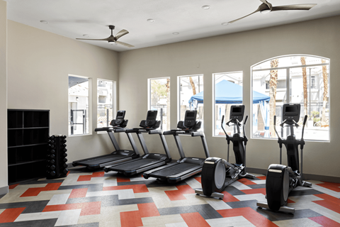 A gym with treadmills, elliptical machines, and a fan.