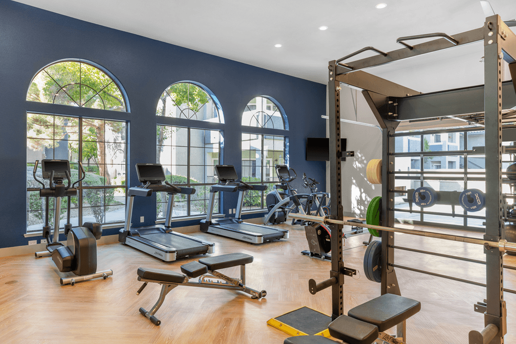 A gym with a variety of equipment including treadmills, weight benches, and a squat rack.