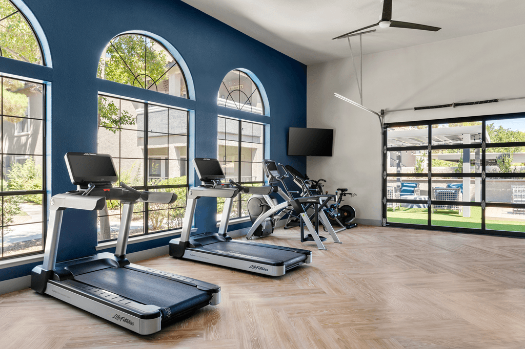 A gym with treadmills and exercise bikes.