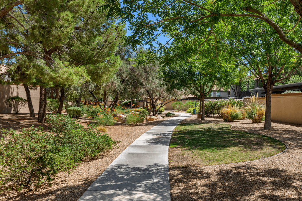 A pathway in a park with trees on both sides.