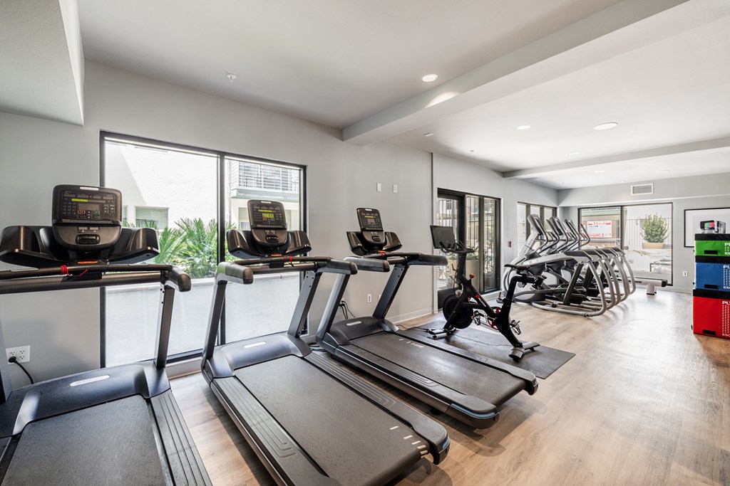 A gym with treadmills and exercise equipment.
