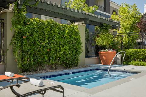A pool surrounded by a green hedge.