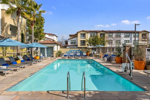 A swimming pool surrounded by sun loungers and umbrellas.