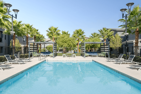 A large swimming pool surrounded by palm trees and lounge chairs.