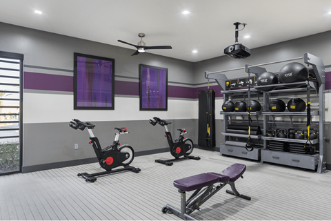 A gym with purple accents and a variety of equipment.