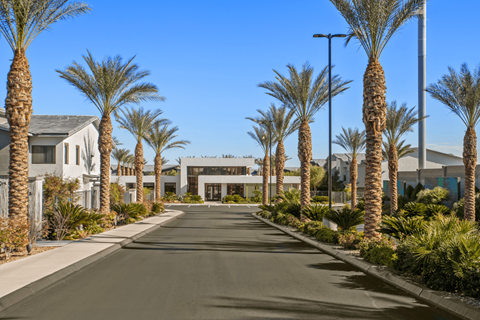 A long driveway flanked by palm trees leading to a building.