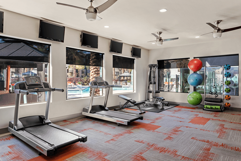 A gym with treadmills, elliptical machines, and a fan.