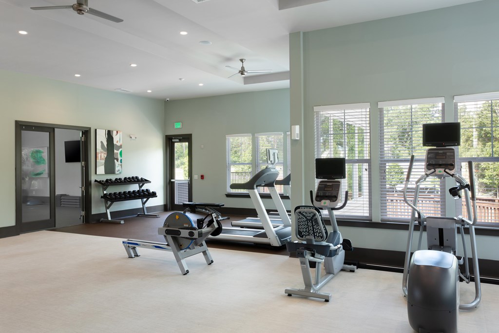 A gym with a variety of equipment including a treadmill, weights, and a bench press.