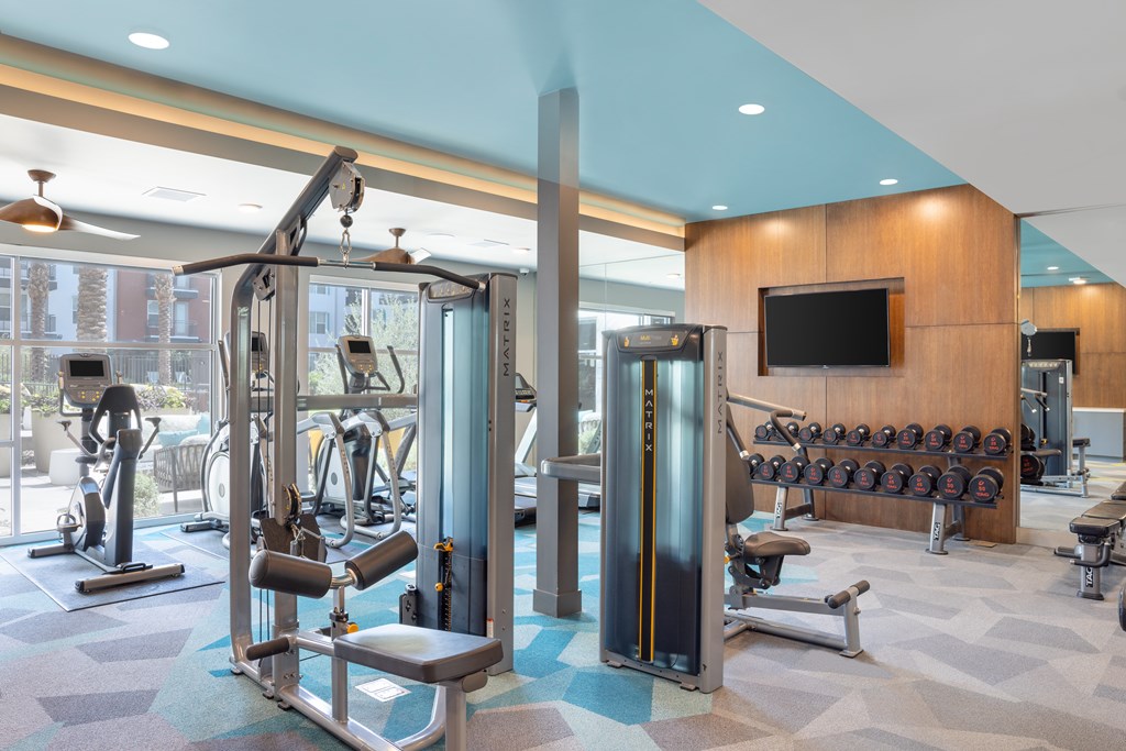 A gym with a variety of equipment including a squat rack, a bench, and a television.