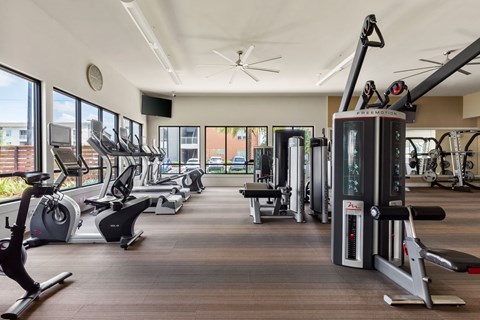 A gym with a variety of equipment including treadmills, stationary bikes, and weight machines.