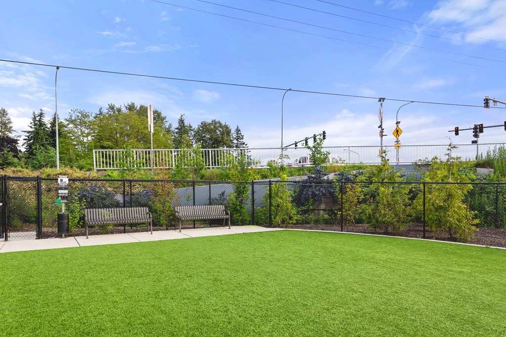 A green field with a fence and a bench.