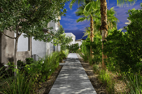 A pathway surrounded by greenery and trees.