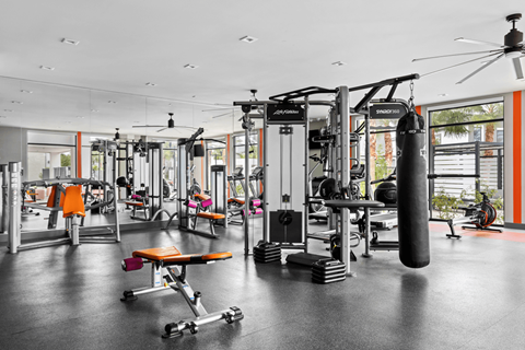 A gym with a variety of equipment including a punching bag.