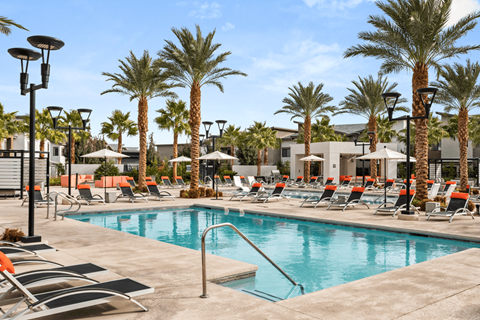 A pool surrounded by palm trees and lounge chairs.