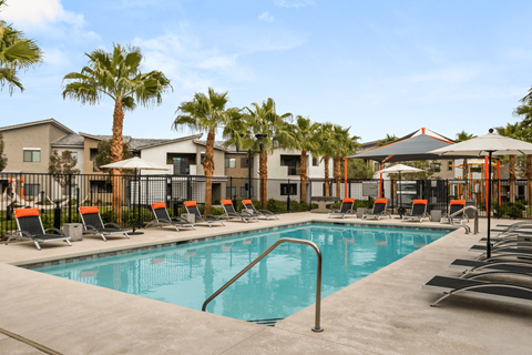 A swimming pool surrounded by sun loungers and palm trees.