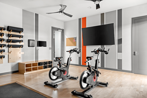 Two exercise bikes are in a room with a television and a fan.