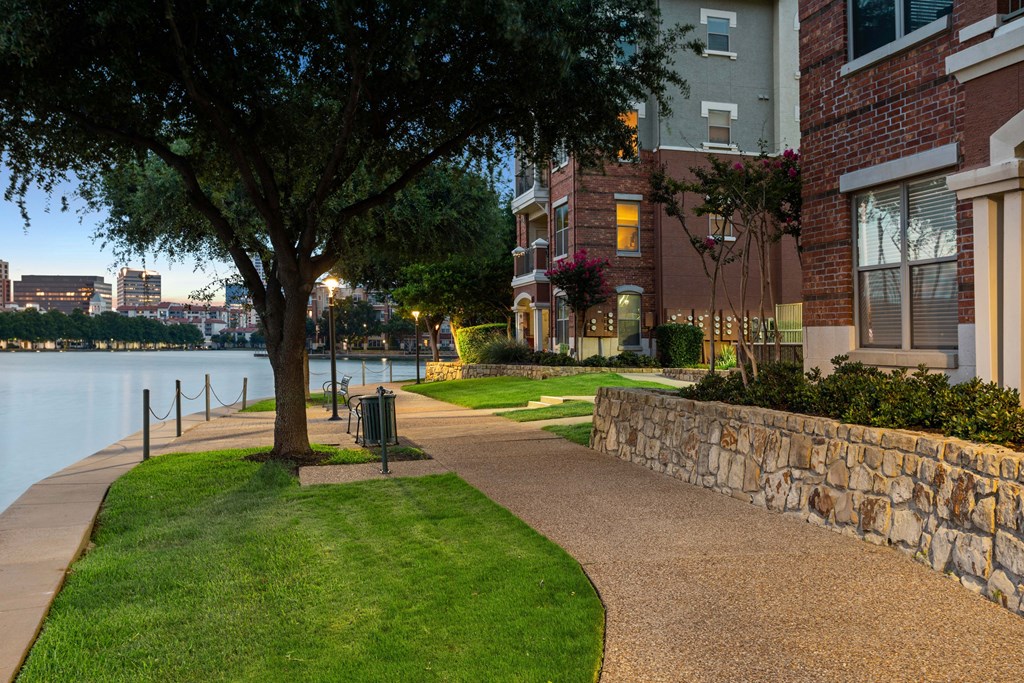 A tree stands on a grassy area next to a paved walkway.