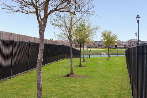 A black fence runs along a grassy area with trees.