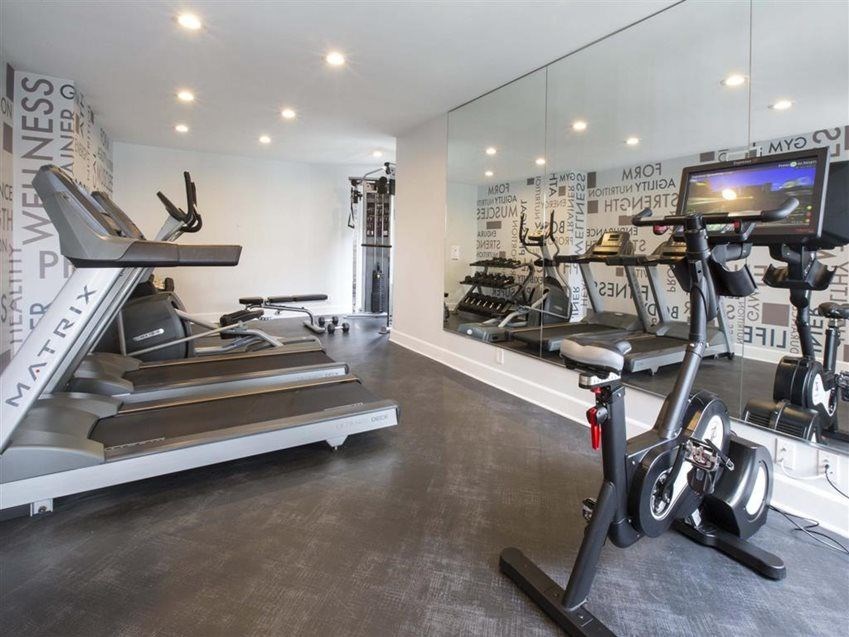 A gym with treadmills, exercise bikes, and mirrors.