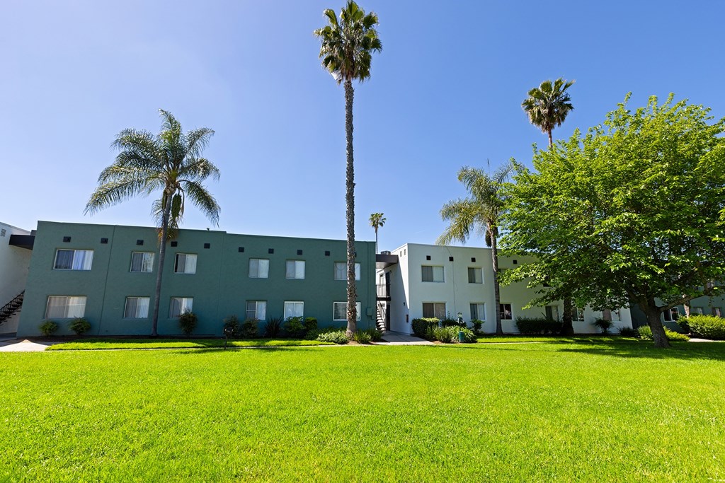 A green building with a palm tree in front.
