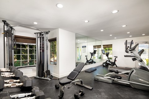 A spacious gym with a variety of equipment including treadmills, weights, and exercise machines.