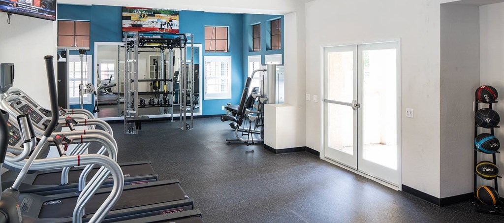 A gym with treadmills, weights and exercise equipment.