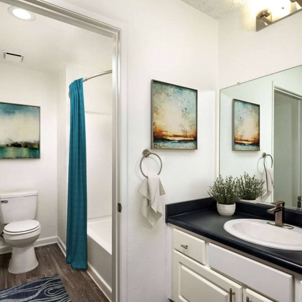 A bathroom with a white toilet, a black countertop, and a blue shower curtain.