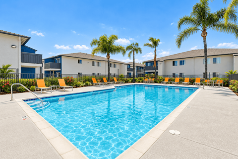 A large swimming pool surrounded by palm trees and lounge chairs.
