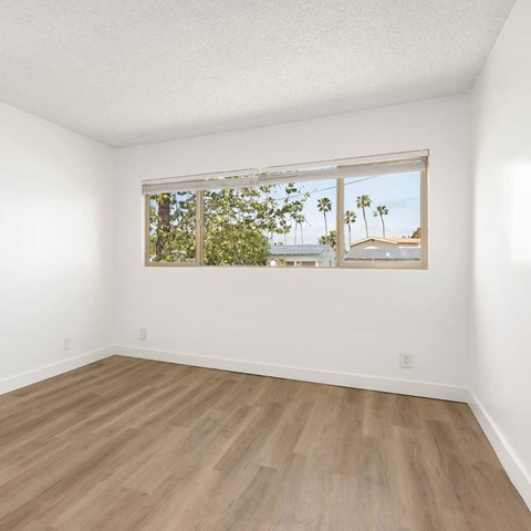 A room with a window showing a view of palm trees and buildings outside.
