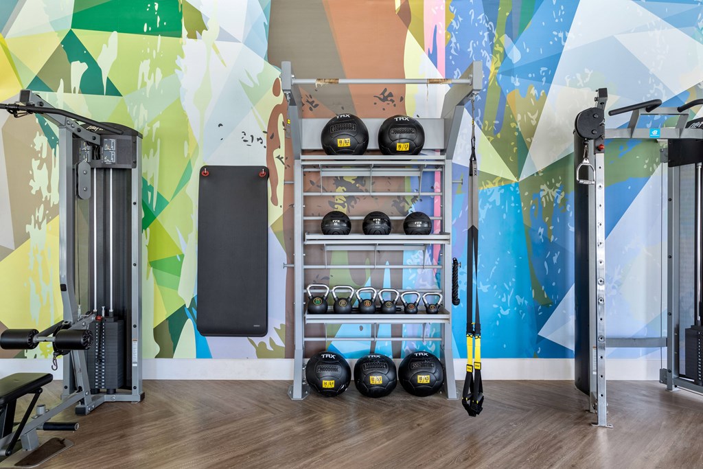 A gym with a variety of equipment including weights and a squat rack.