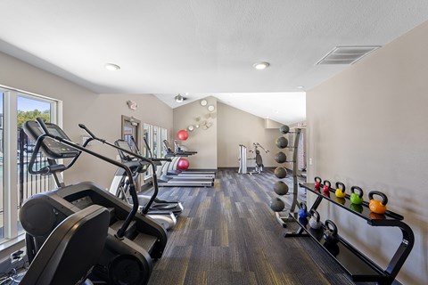 A gym with treadmills, exercise balls, and weights.