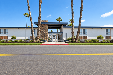 A building with a palm tree in front of it.