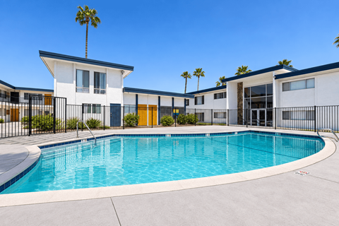 A swimming pool in front of a building with a palm tree.