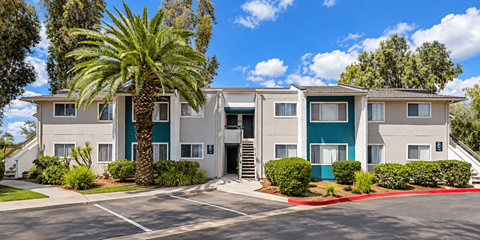 A building with a green door and a palm tree in front.