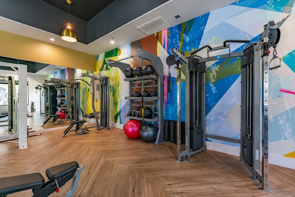 A gym with a variety of equipment including a squat rack, bench, and weights.