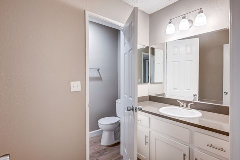 A bathroom with a toilet, sink, and mirror.