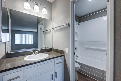 A bathroom with a sink, mirror, and shower.
