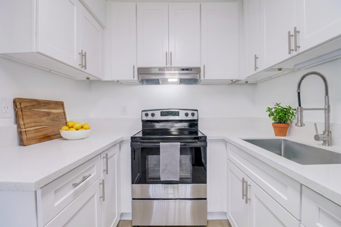 A modern kitchen with a stove and a plant on the counter.